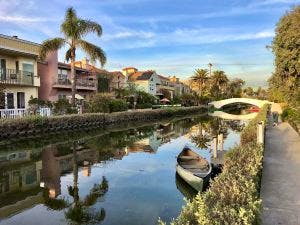 Canal, palm trees, and homes in Los Angeles